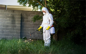 pire-ilaclama-hizmetler